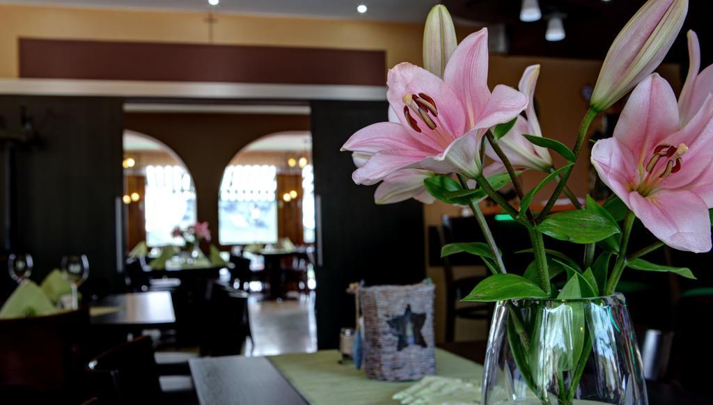 Hotel Restaurant Moselblick فينتريش المظهر الخارجي الصورة